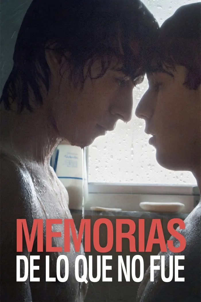Memorias de lo que no fue (2017) poster