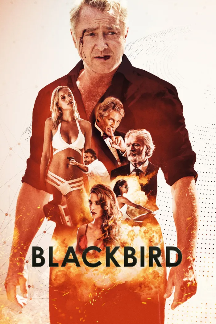 Blackbird (2018) poster