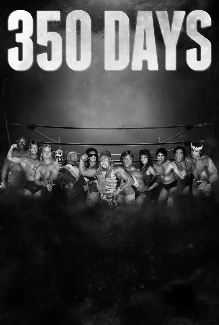 350 Days (2018) poster