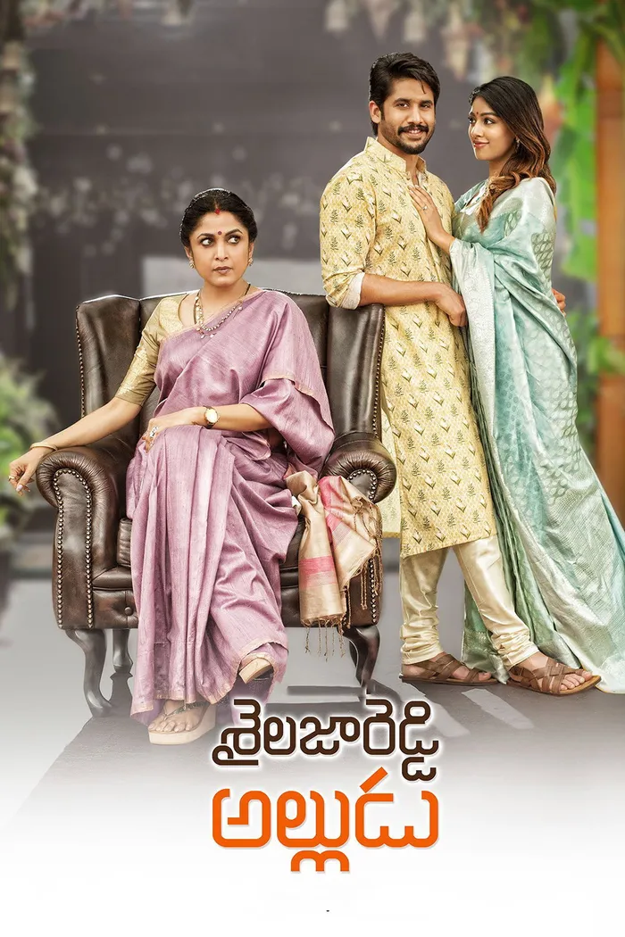 శైలజారెడ్డి అల్లుడు (2018) poster