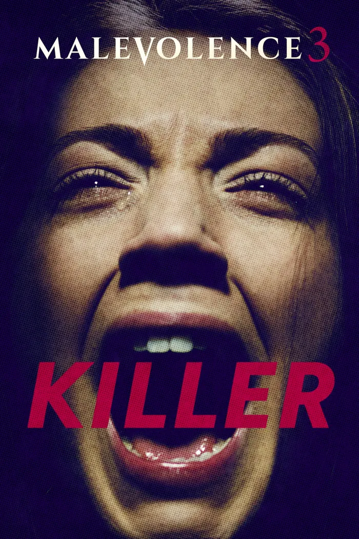 Злоумышленник 3: Убийца (2018) poster