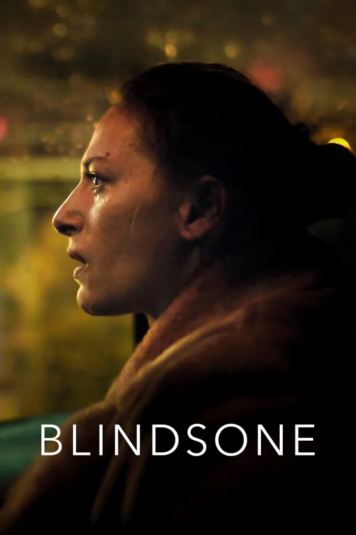 Слепое пятно (2018) poster