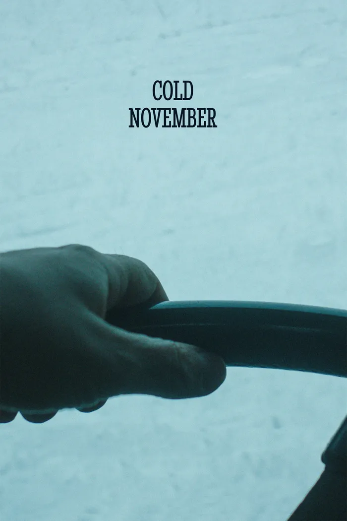 Холодный Ноябрь (2018) poster
