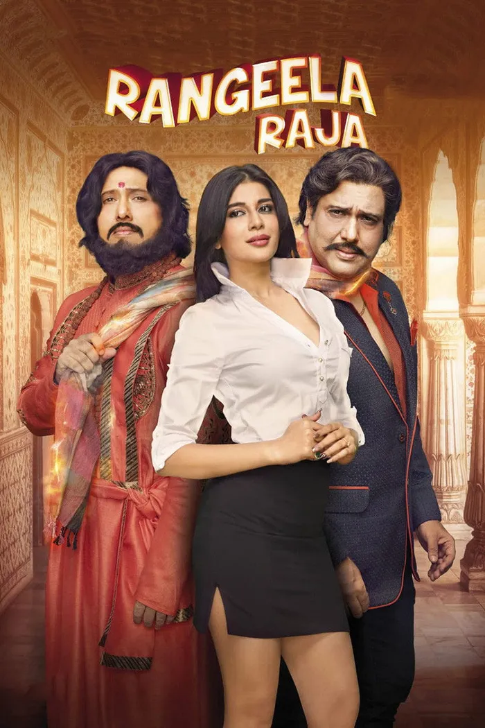 Разноцветный раджа (2019) poster
