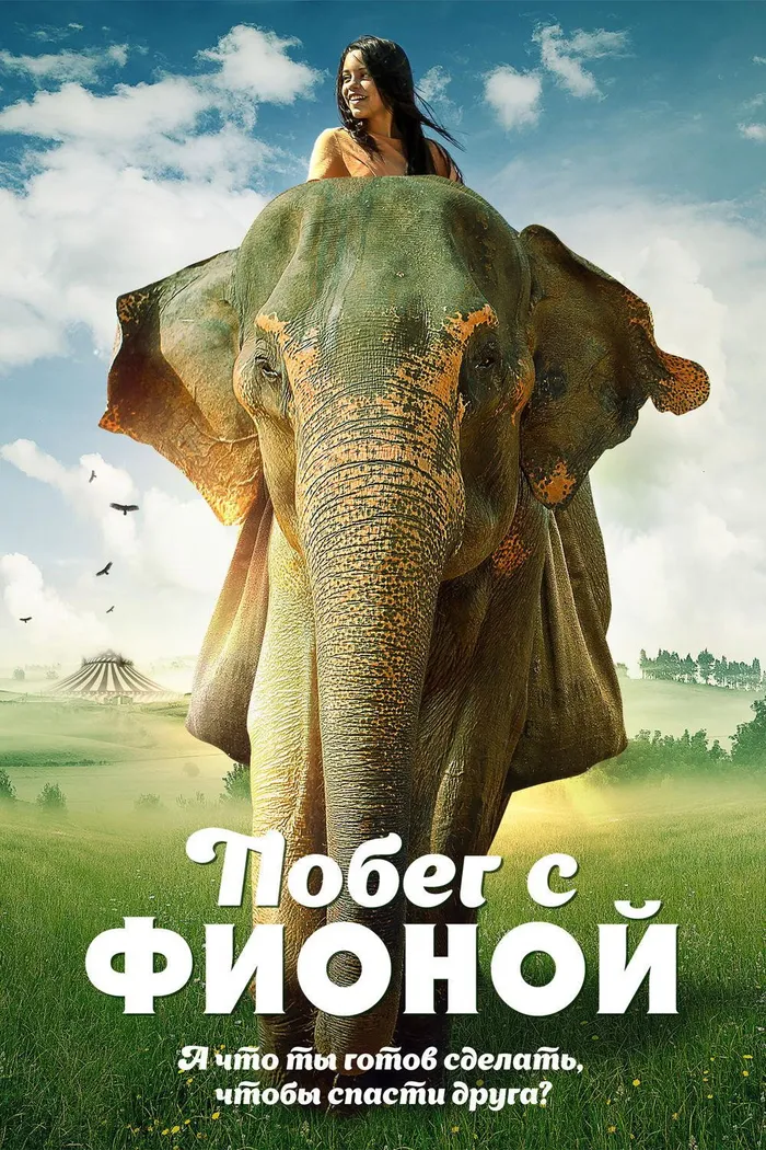 Побег с Фионой (2018) poster