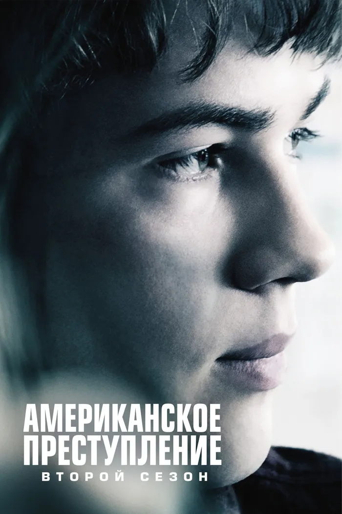 Преступление по-американски (2015) poster