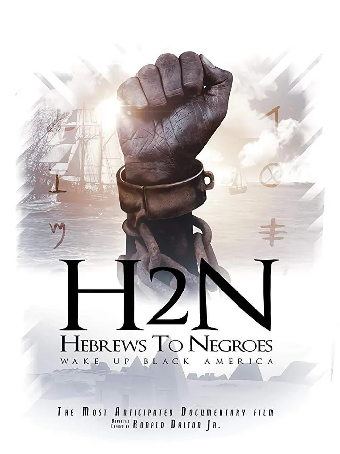 Hebrews to Negroes: Wake Up Black America (2018) poster