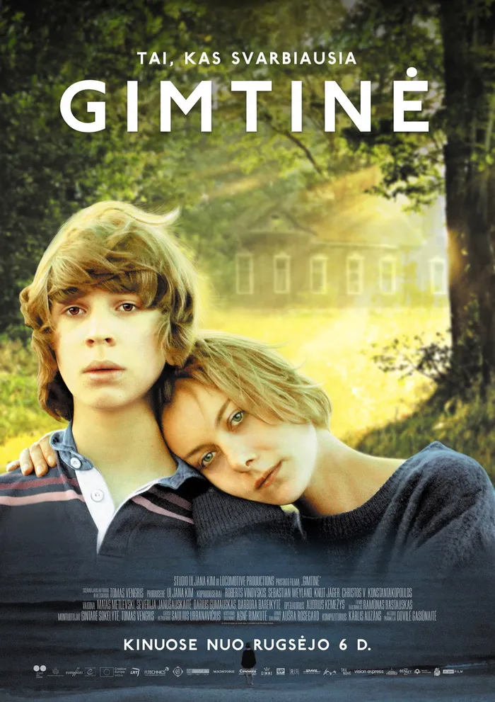 Gimtinė (2019) poster