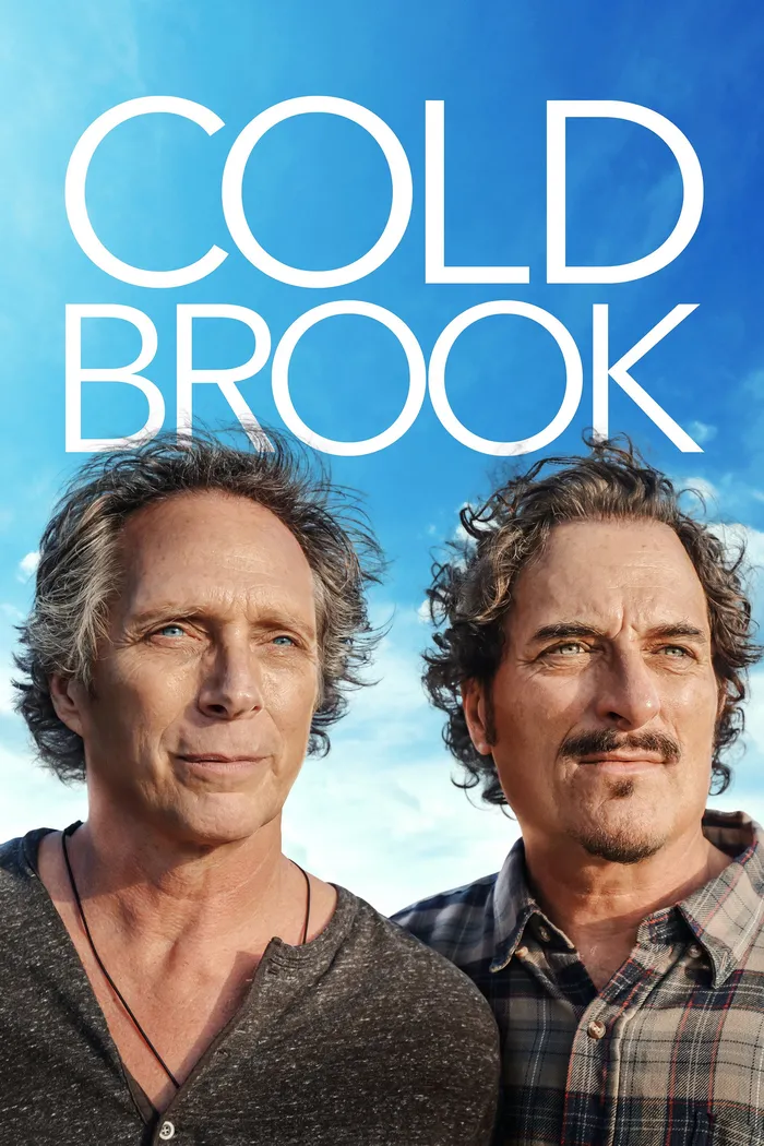 Cold Brook (2018) poster