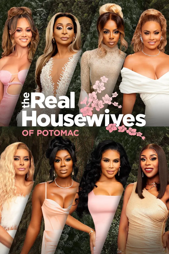 The Real Housewives of Potomac (2016) poster