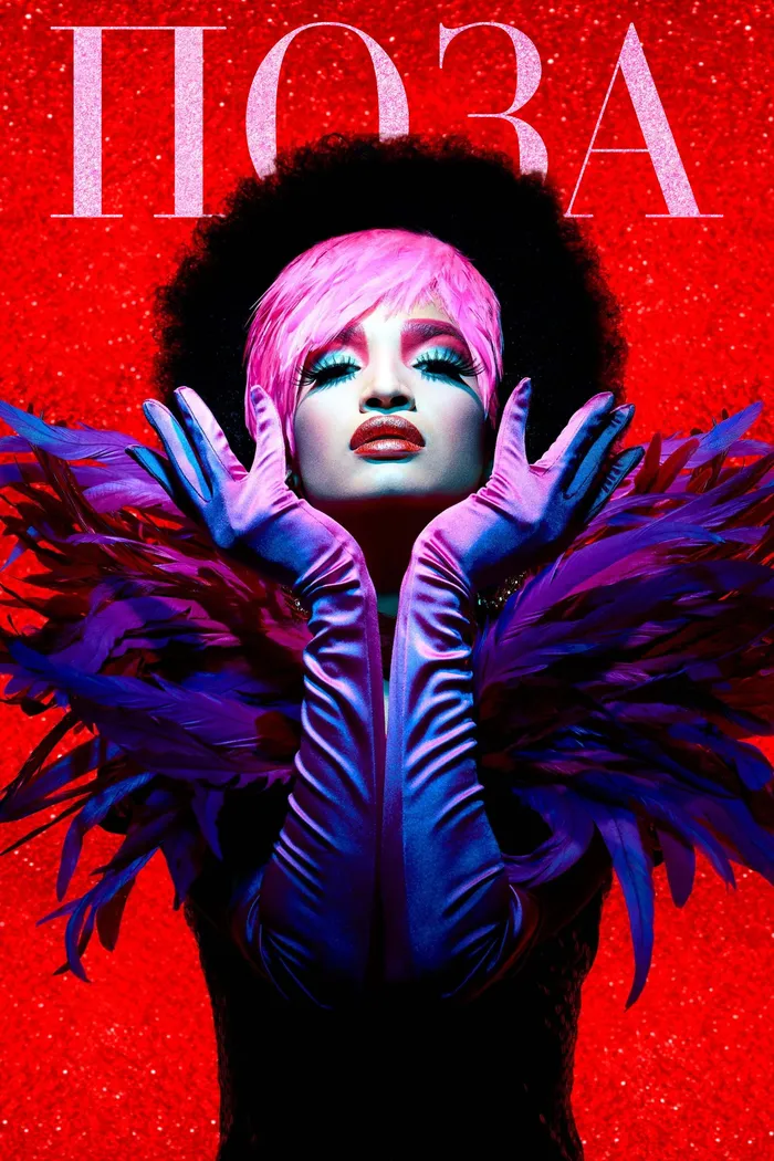 Поза (2018) poster