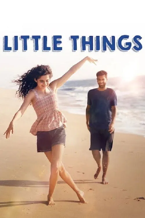 Little Things (2016) poster