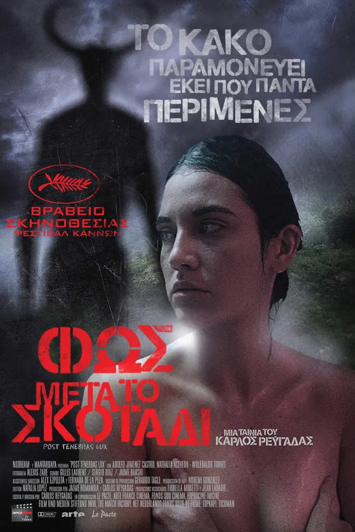 После мрака свет (2012) poster