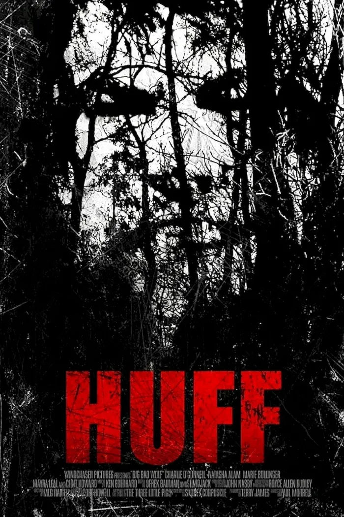 Вспышка гнева (2013) poster