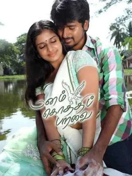 மனம் கொத்திப் பறவை (2012)