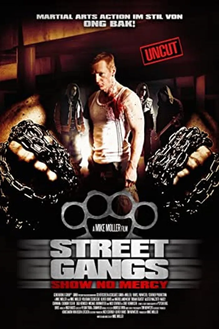 Уличный боец (2012) poster