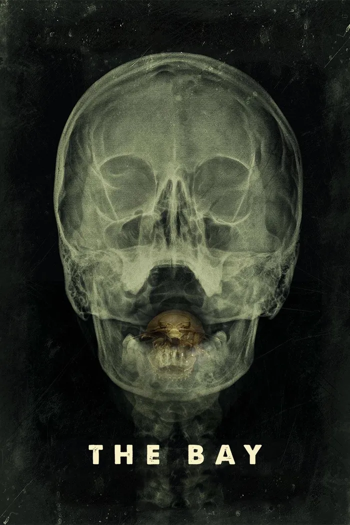 Залив (2012) poster