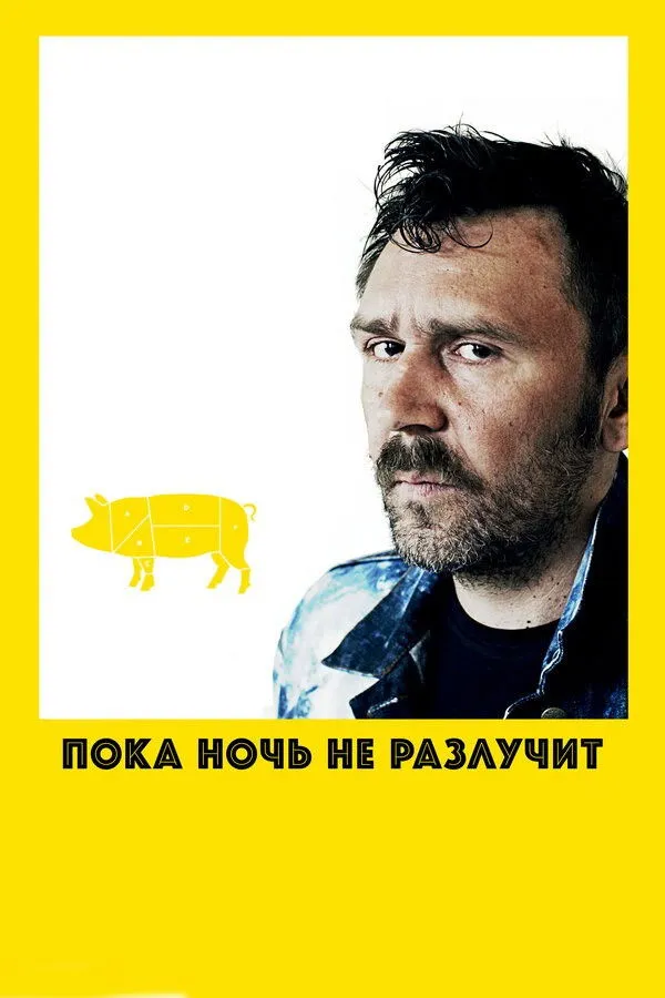 Пока ночь не разлучит (2012) poster