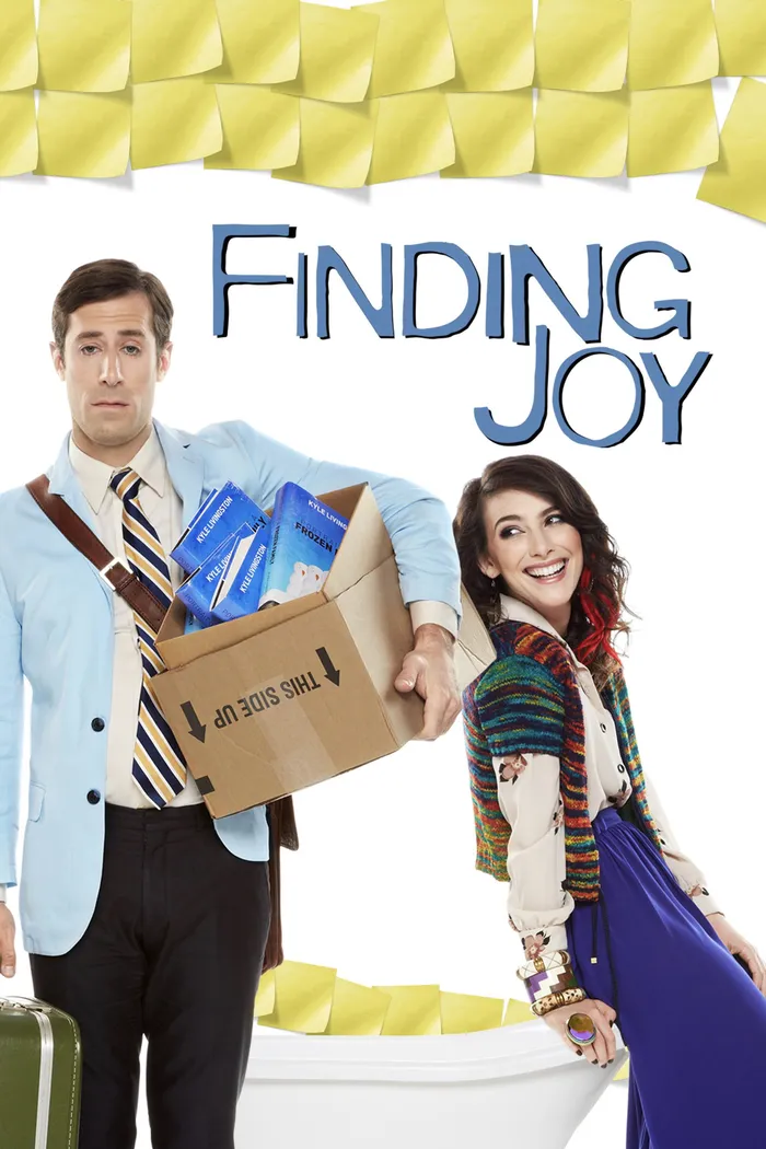 Finding Joy (2013) poster