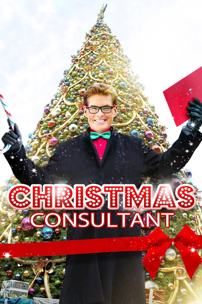 The Christmas Consultant (2012) poster