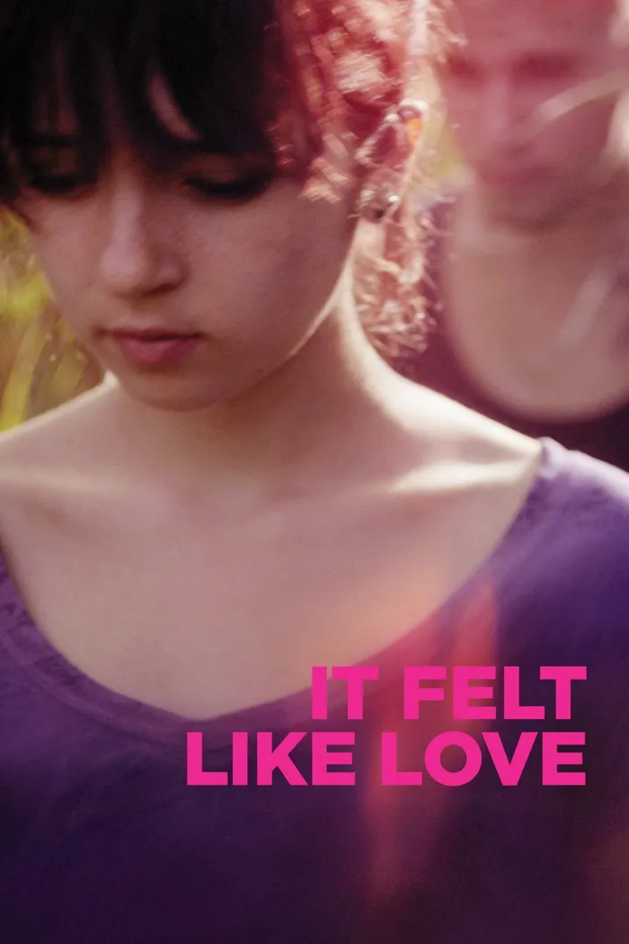 Похоже на любовь (2013) poster
