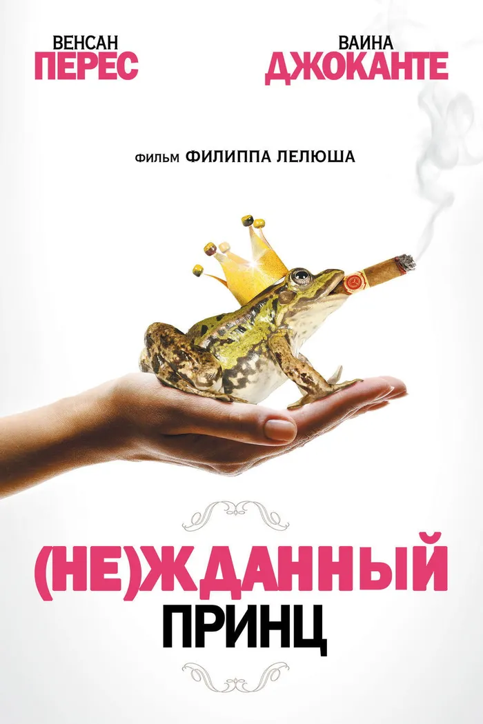 (Не)жданный принц (2013) poster