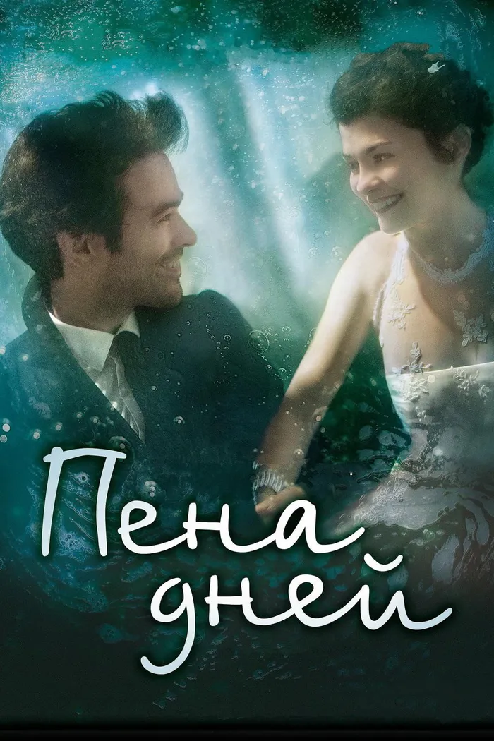 Пена дней (2013)