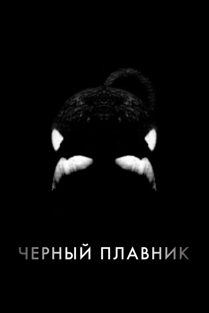 Чёрный плавник (2013) poster