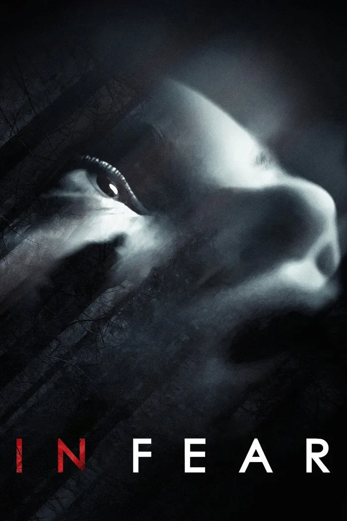В страхе (2013)