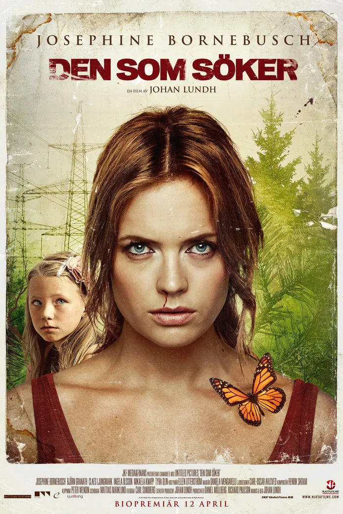Если хочешь, ищи (2013) poster