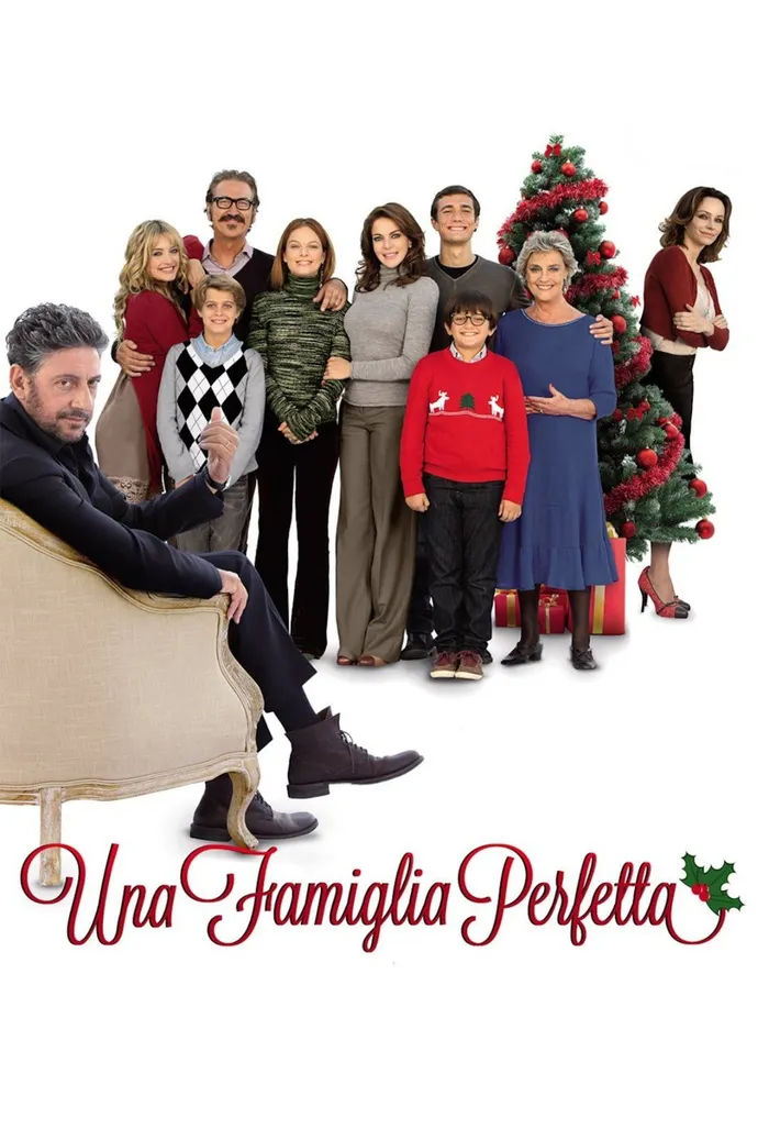 Идеальная семья (2012) poster