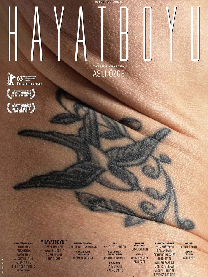 Hayatboyu (2013) poster