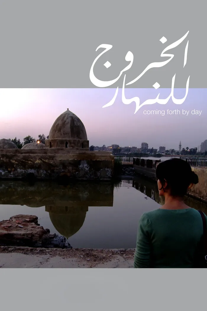 الخروج للنهار (2012) poster