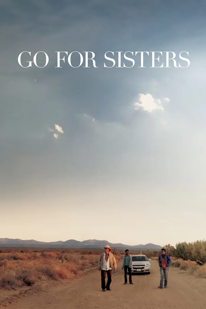 Пойти за сестёр (2013) poster