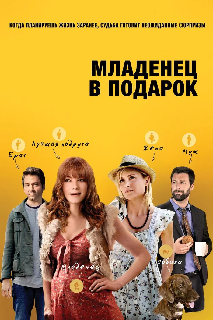 Младенец в подарок (2013) poster