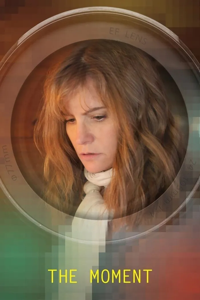 The Moment (2013) poster