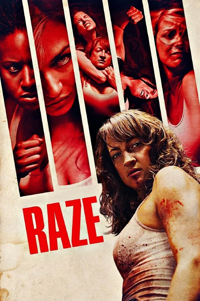 Убей или умри (2013) poster