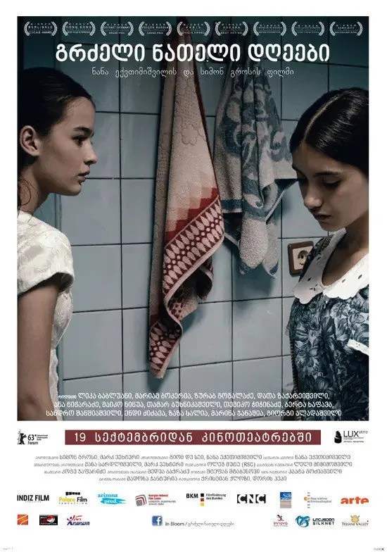 Длинные светлые дни (2013) poster