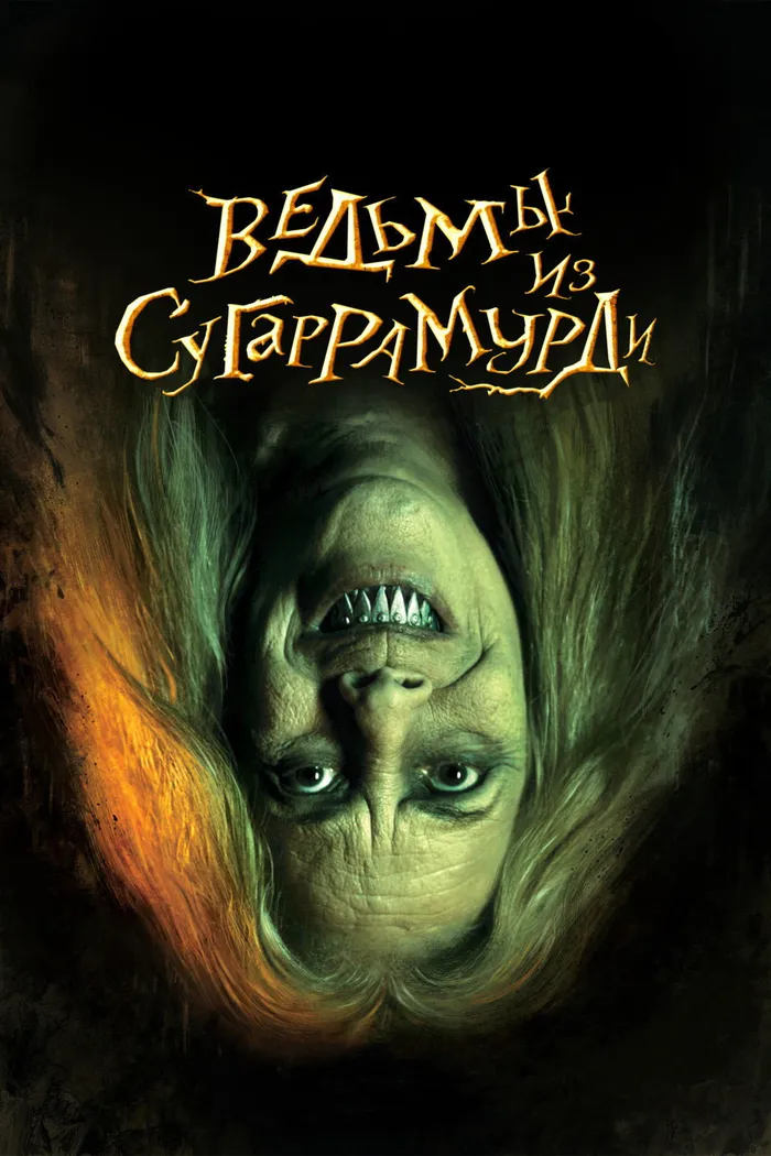 Ведьмы из Сугаррамурди (2013) poster