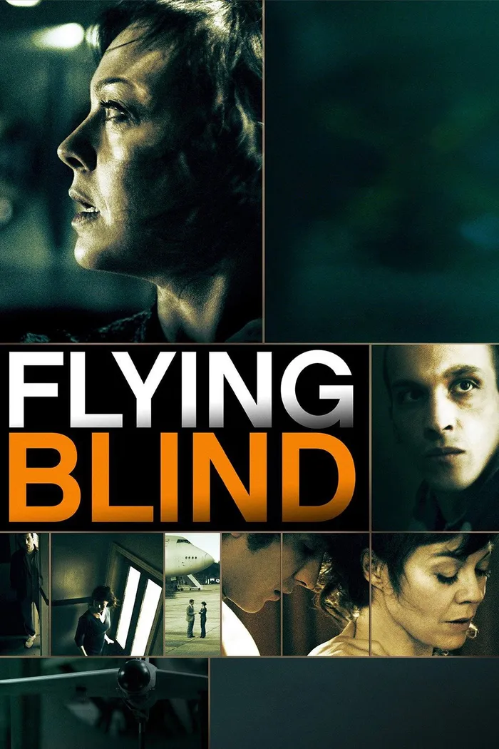 Flying Blind (2012) poster