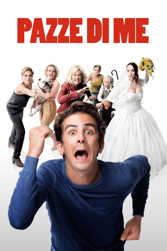 Сумасшедший (2013) poster