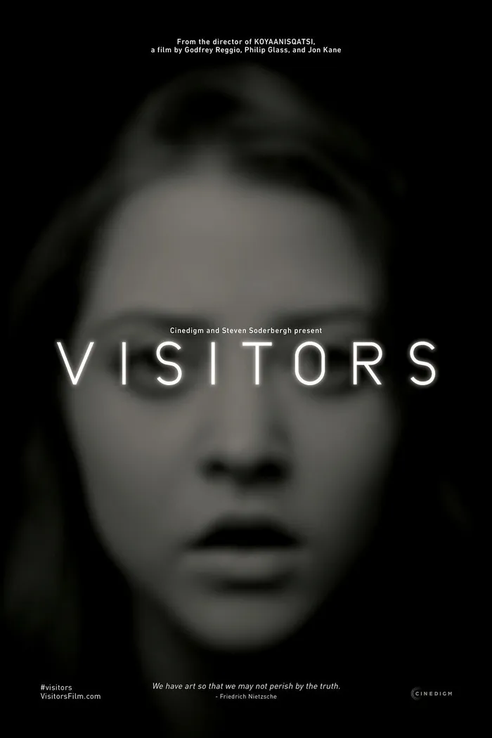 Посетители (2013) poster