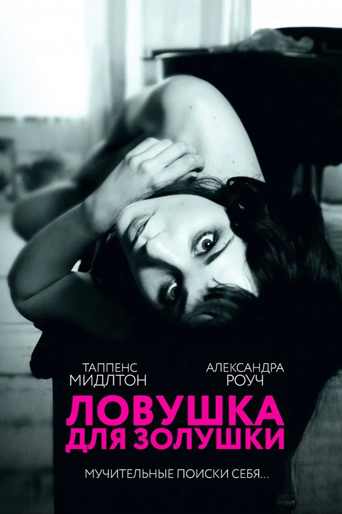 Ловушка для Золушки (2013) poster