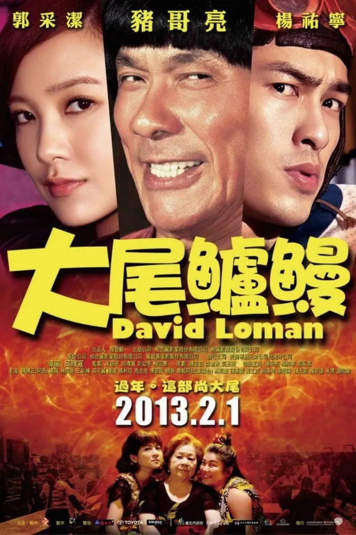 大尾鱸鰻 (2013) poster
