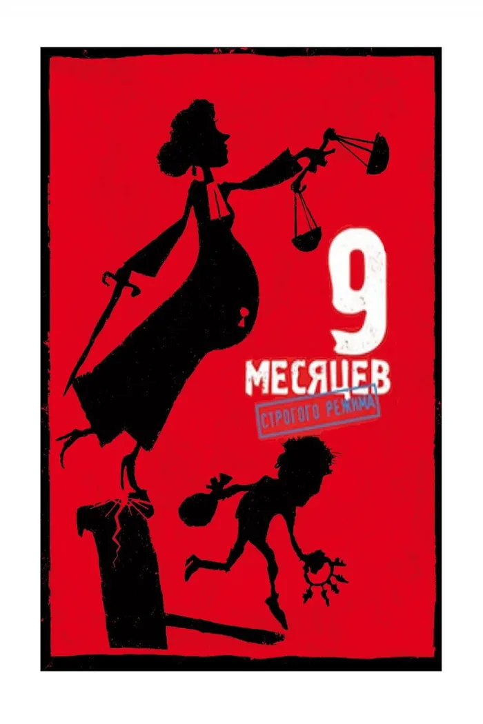 9 месяцев строгого режима (2013) poster