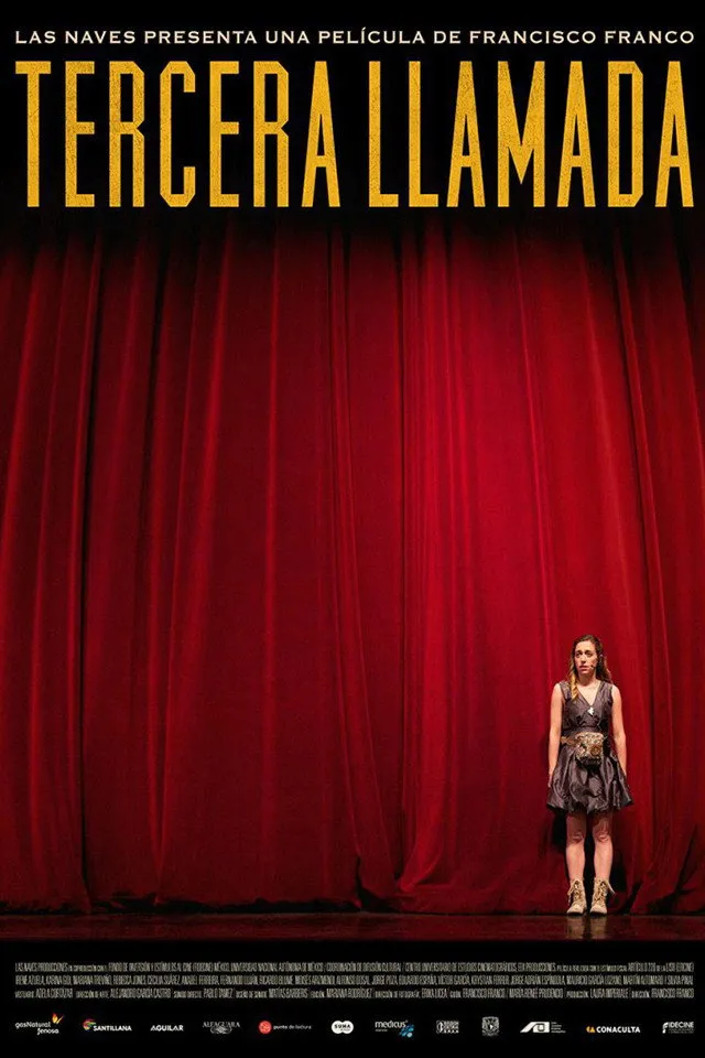 Tercera llamada (2013) poster