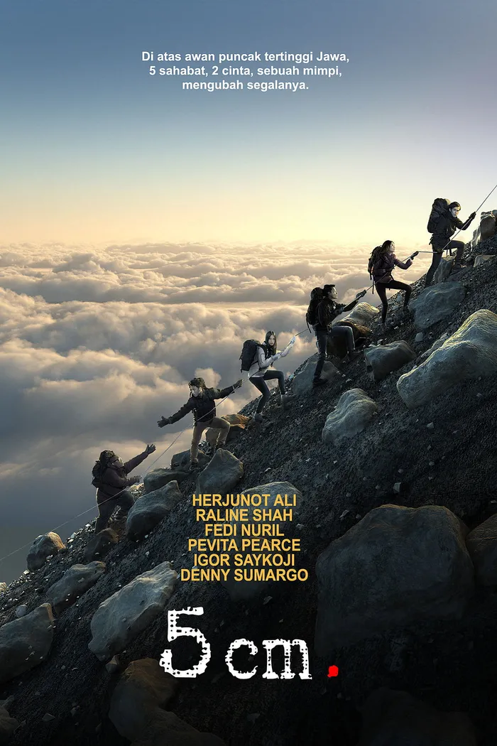 5 cm (2012) poster