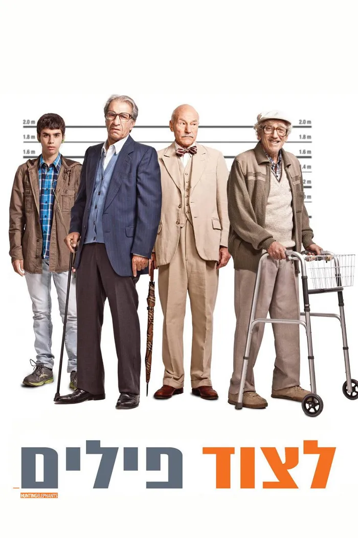 לצוד פילים (2013) poster