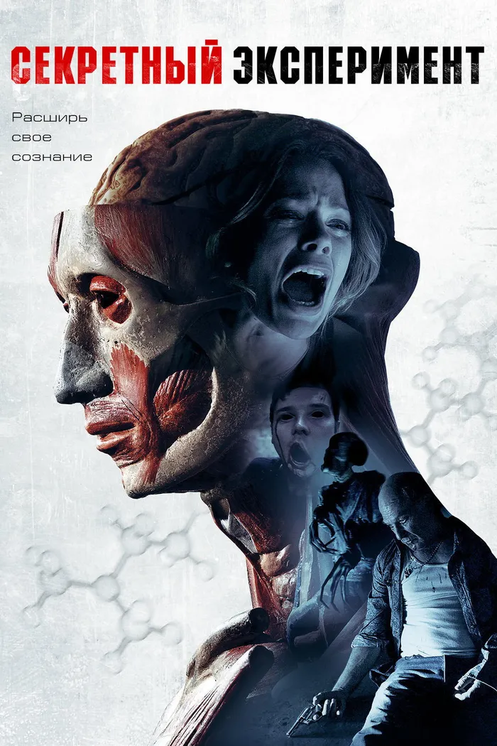 Секретный эксперимент (2013) poster