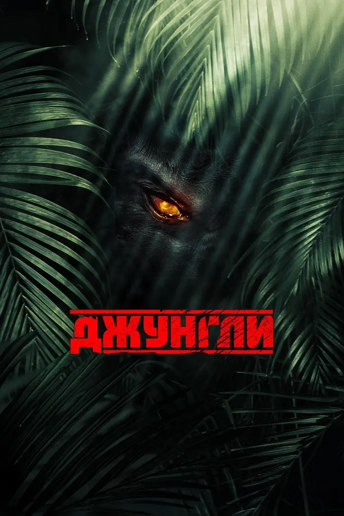 Джунгли (2013) poster